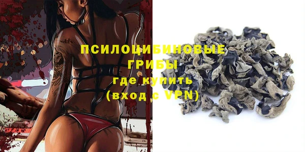 первитин Горняк