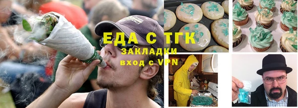 первитин Горняк