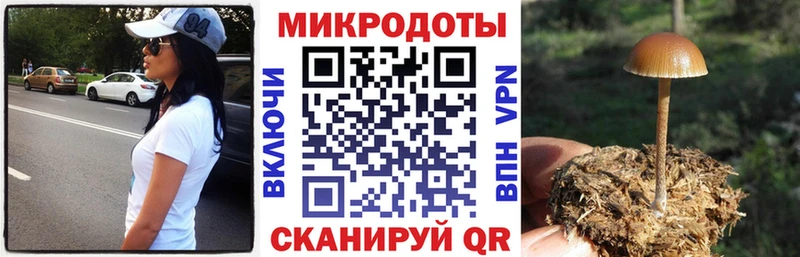 Купить где  Сосновка  Галлюциногенные грибы MAGIC MUSHROOMS 